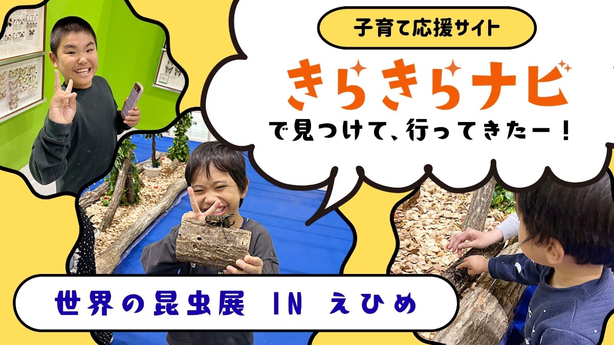 記事画像