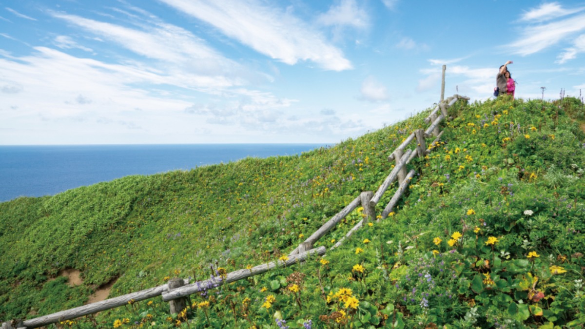 北海道移住案内2026・春｜礼文町　離島の魅力！海や山、自然と共に生きるを体感
