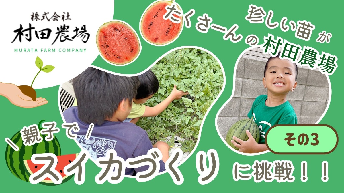 記事画像