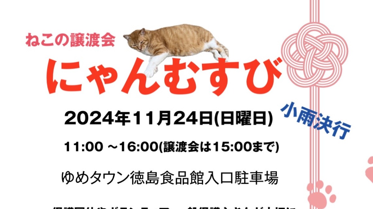 【徳島イベント情報2024】11/24｜にゃんむすび