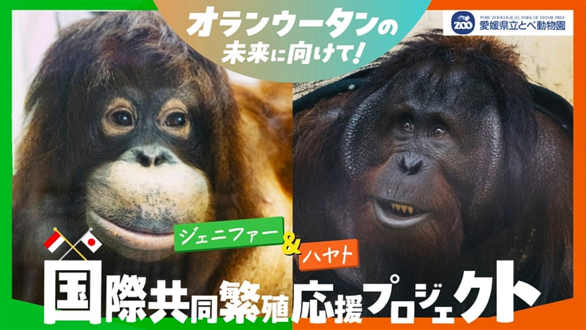 記事画像
