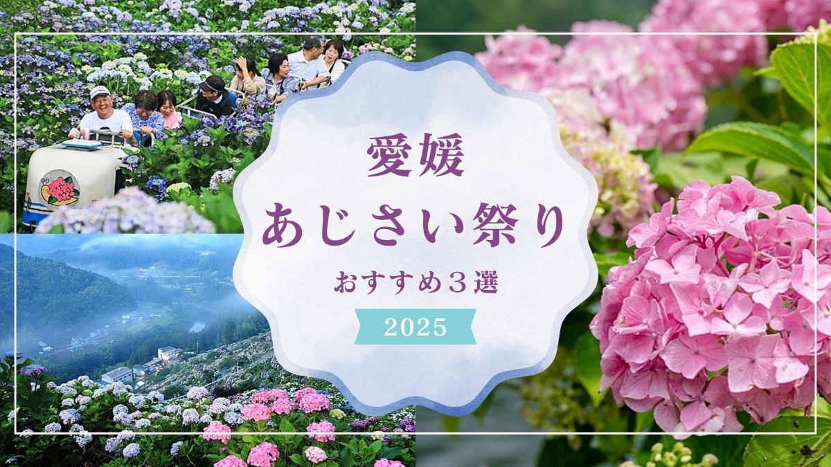 記事画像