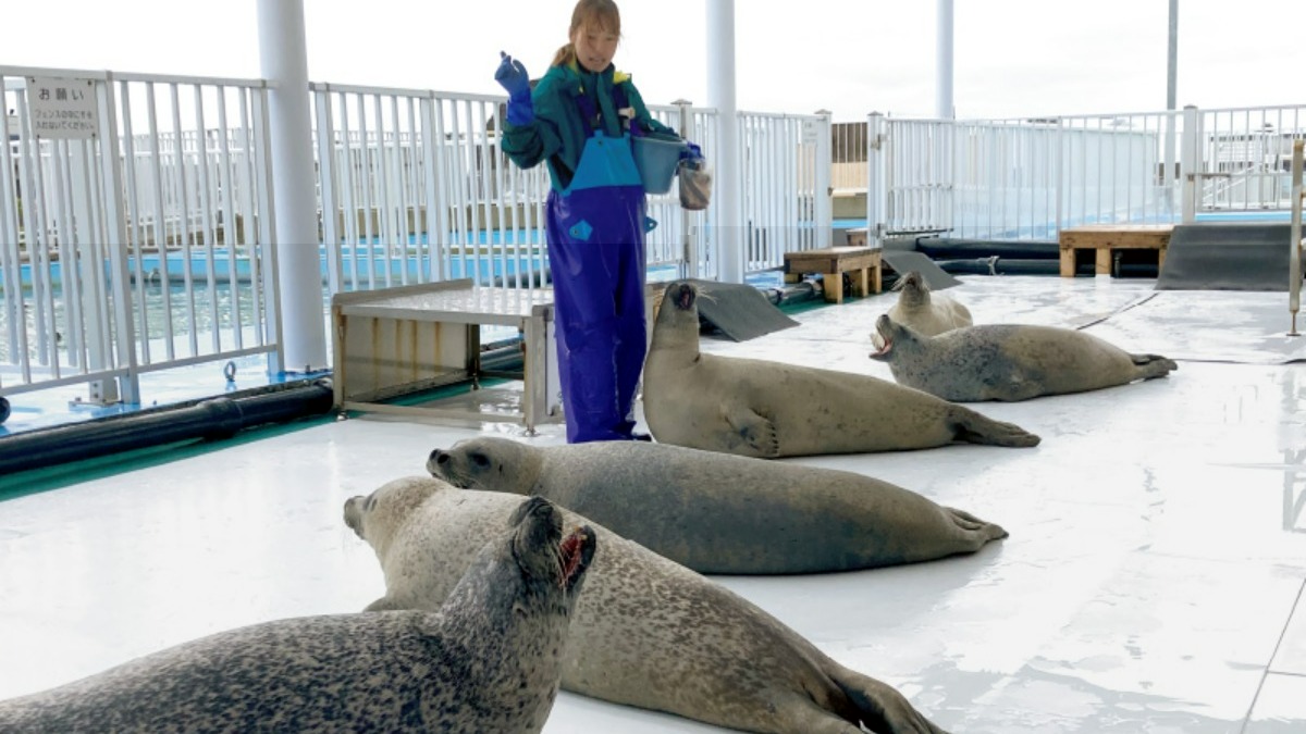 流氷で有名な「紋別」で、オホーツクの自然と食を楽しもう！