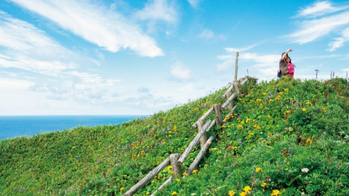 礼文島 ‟花と海の絶景”を楽しむ！ 7つのトレッキングコース