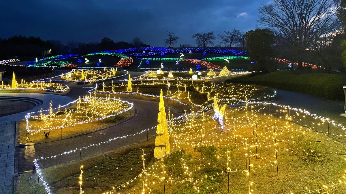 光の花咲く馬見丘陵公園で「きらめきマルシェin馬見クリスマス」開催【広陵町・河合町】