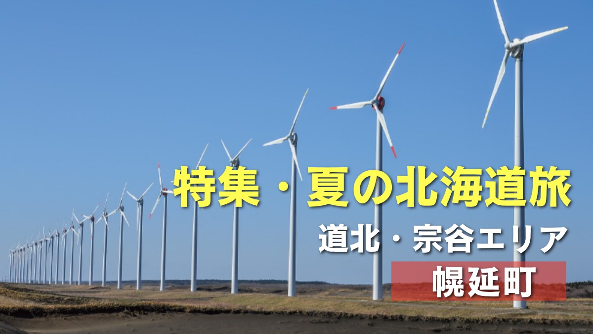 夏の北海道旅｜幌延町のサロベツ原野やエネルギー産業が有名！