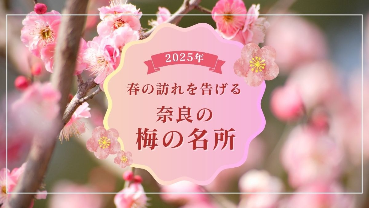 春の訪れを告げる、「奈良の梅の名所」まとめ【2025年版】