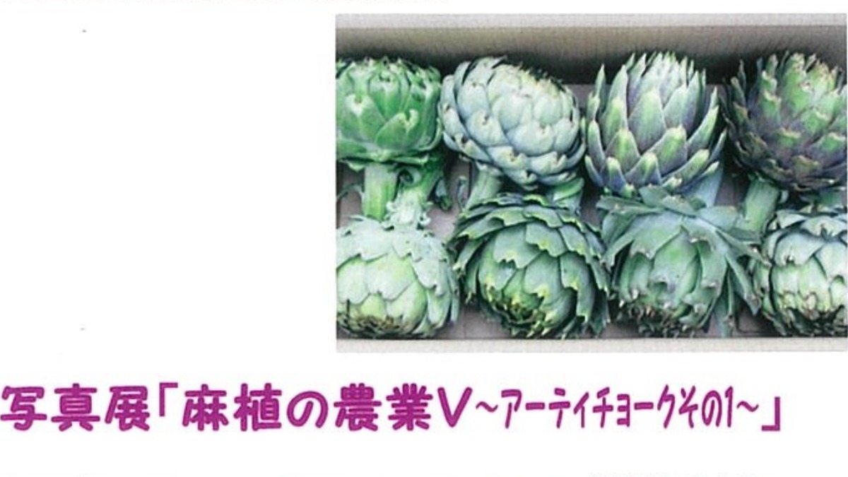 【徳島イベント情報】写真展『麻植の農業V ～アーティチョークその1～