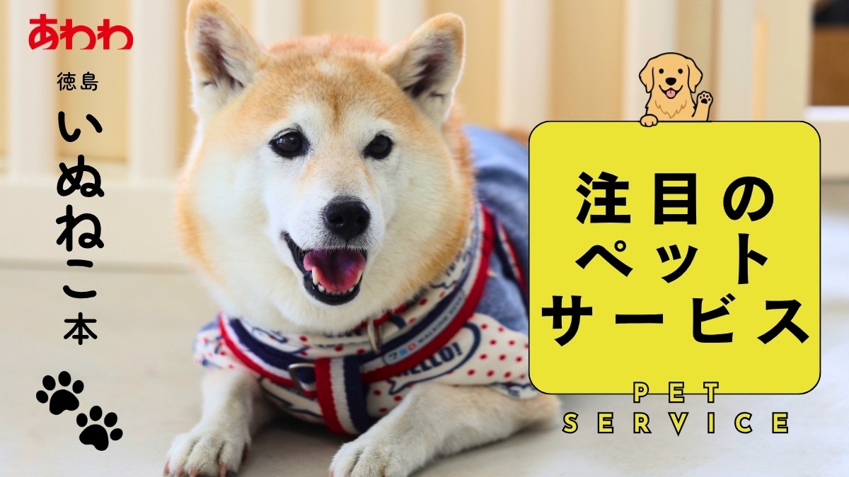 【2026】徳島のペットサービス／ペット葬祭／いぬの幼稚園／セルフシャンプー／犬専門写真／ペット介護―あわわ2026年10月20日号徳島いぬねこ本―