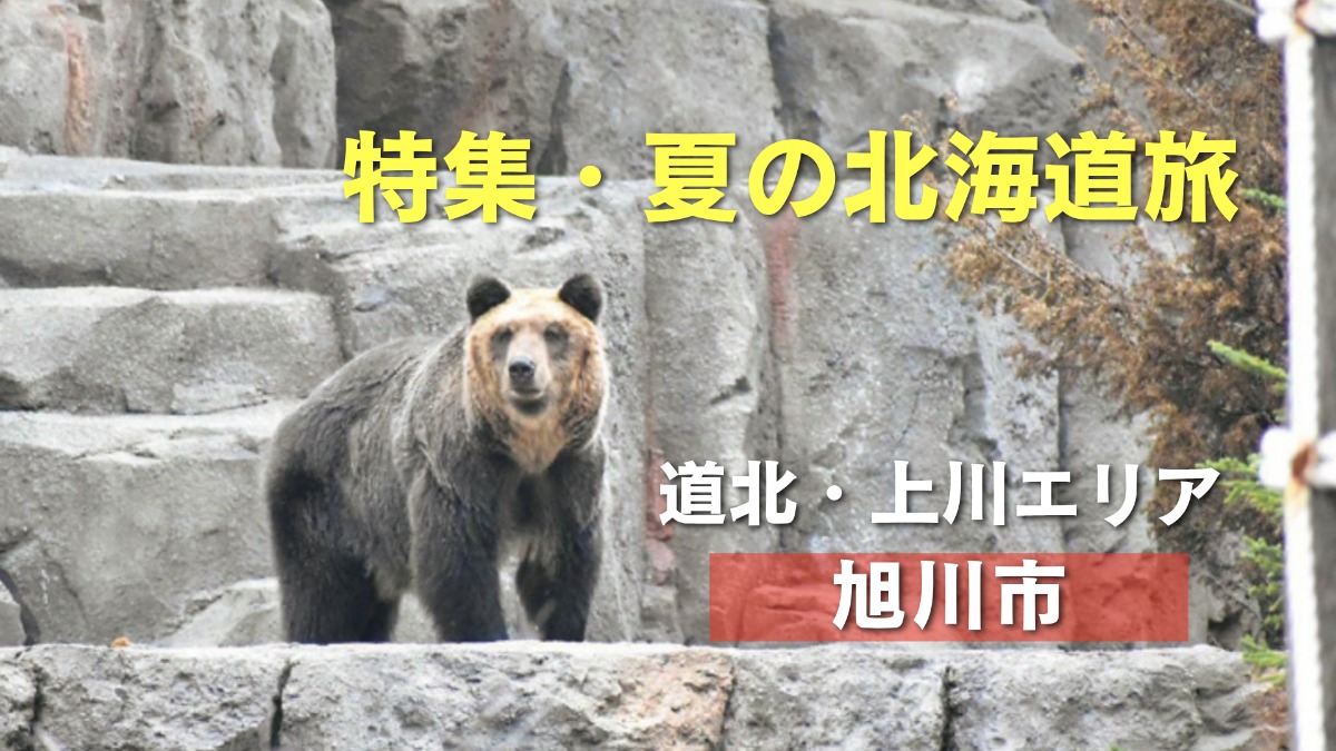 夏の北海道旅｜道内第ニの都市、旭川で遊びとグルメを満喫！