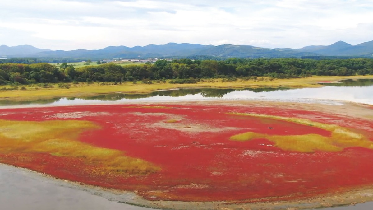 流氷のまち「紋別」で、豊かな自然と食を楽しむ　－紋別市－｜北海道大人の旅ガイド2025