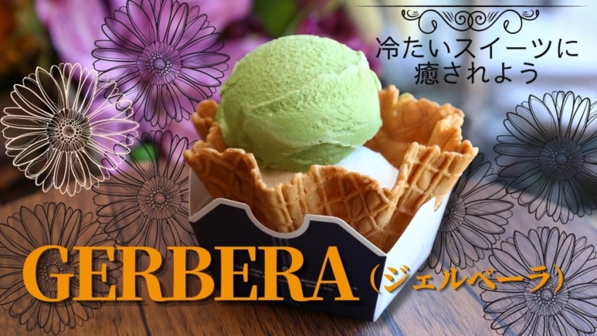 【2022.7月OPEN】GERBERA（ジェルベーラ／徳島市沖浜東）食材を贅沢に使用した、ラグジュアリーなジェラート店