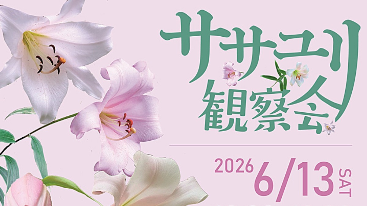 記事画像