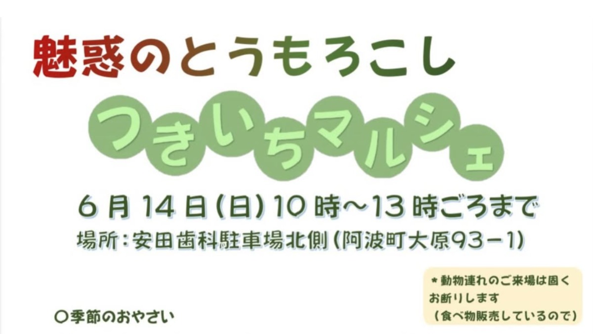 【徳島イベント情報2026】6/14｜つきいちマルシェ