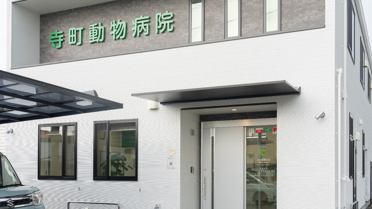 記事画像