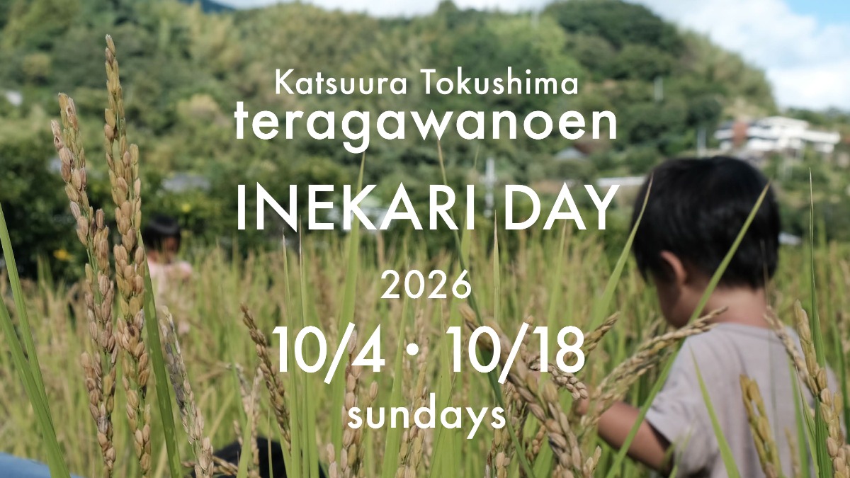 【徳島イベント情報2026】10/18｜寺川農園 稲刈りデー［要申込］