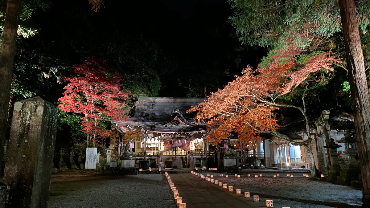 【奈良の紅葉2023】夜の幻想的な「逆さ紅葉」が美しい。歴史ある古社「等彌神社」｜桜井市