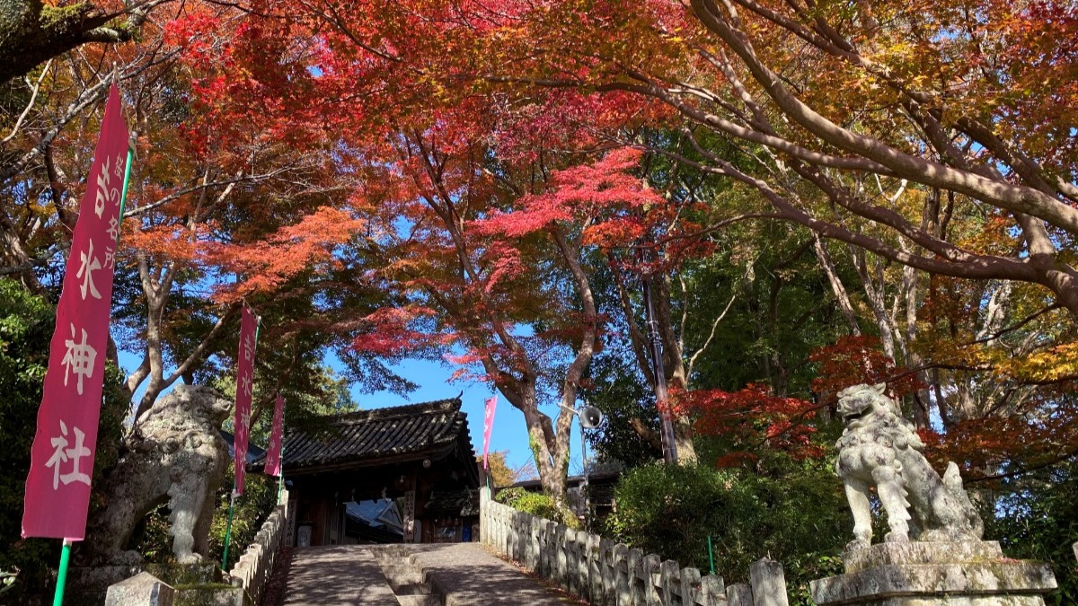 【奈良の紅葉2023】数々の歴史の舞台となった「吉水神社」から望む一目千本の絶景｜奈良県吉野郡吉野町