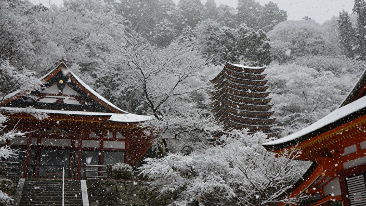 【奈良の初詣2024｜談山神社】年越しライトアップも必見！冬景色も素晴らしい神社｜桜井市