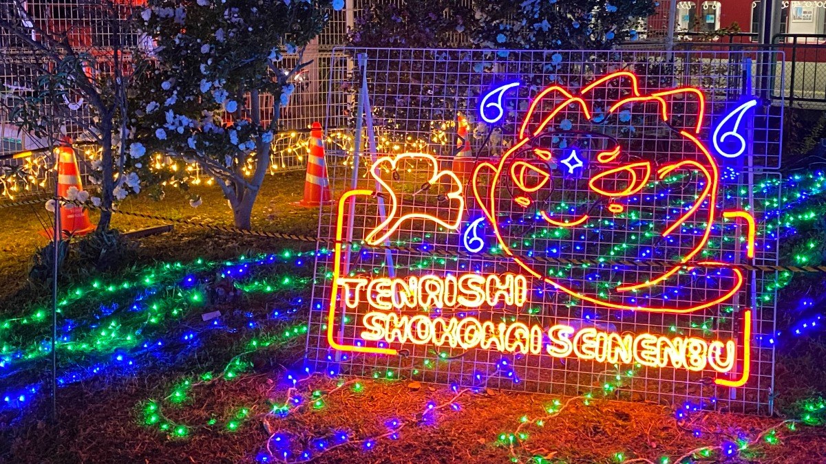 「県下最大級」のイルミネーション！天理市の冬を彩る風物詩「天理市光の祭典2025」開催