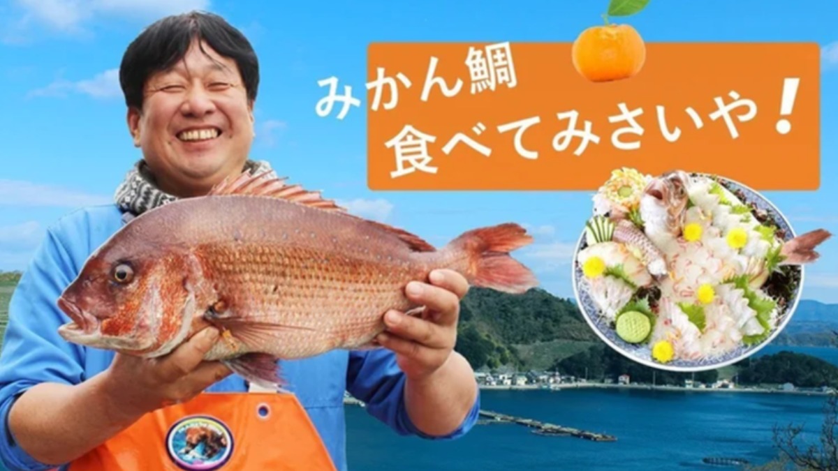 リアル×オンライン「みかん鯛」の養殖現場を体験【株式会社Root】