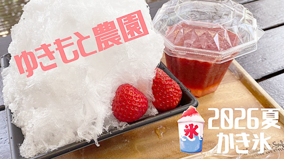 記事画像
