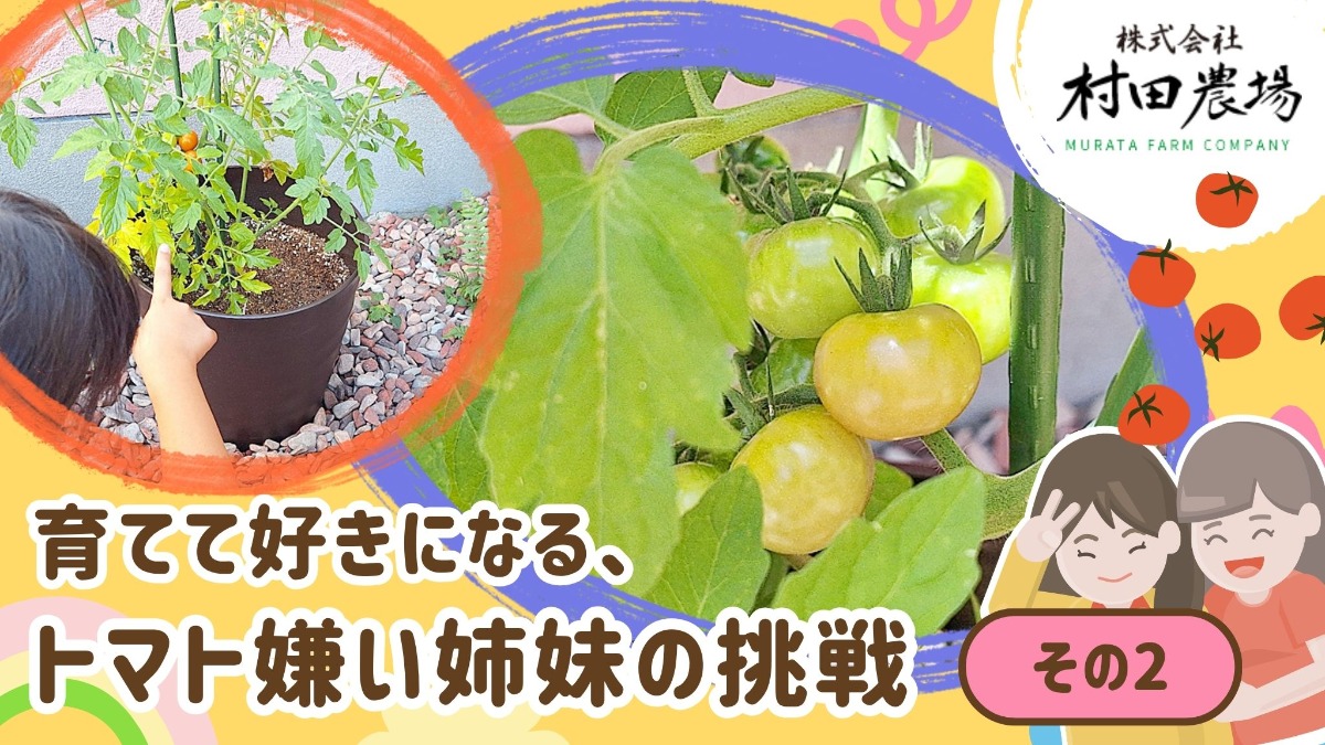 記事画像