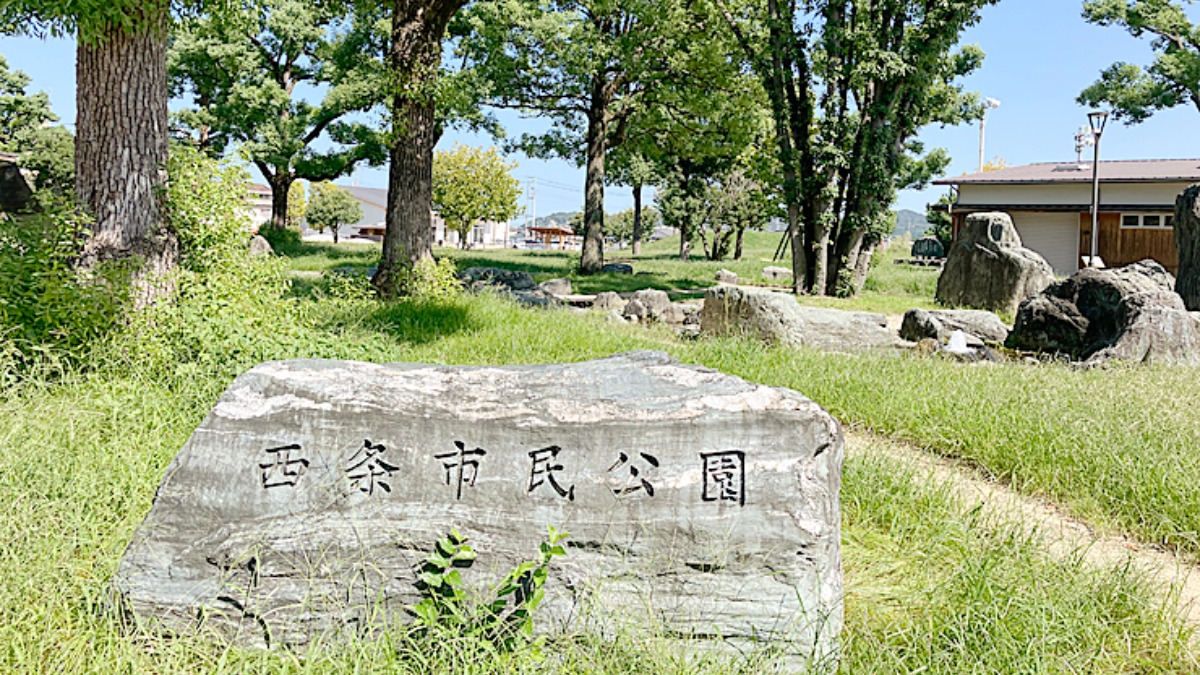 記事画像