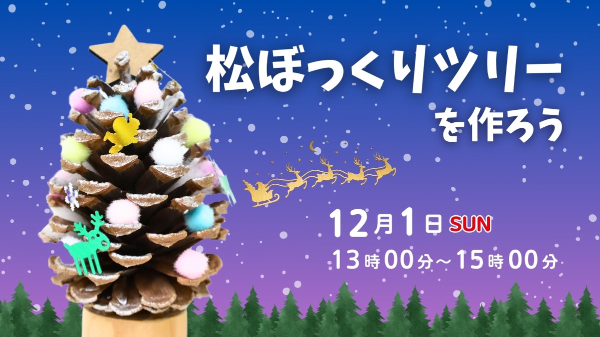 【徳島イベント情報】12/1｜松ぼっくりツリーを作ろう