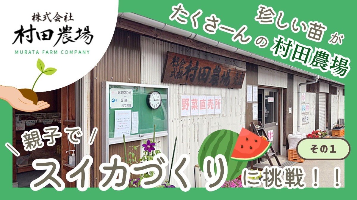 記事画像