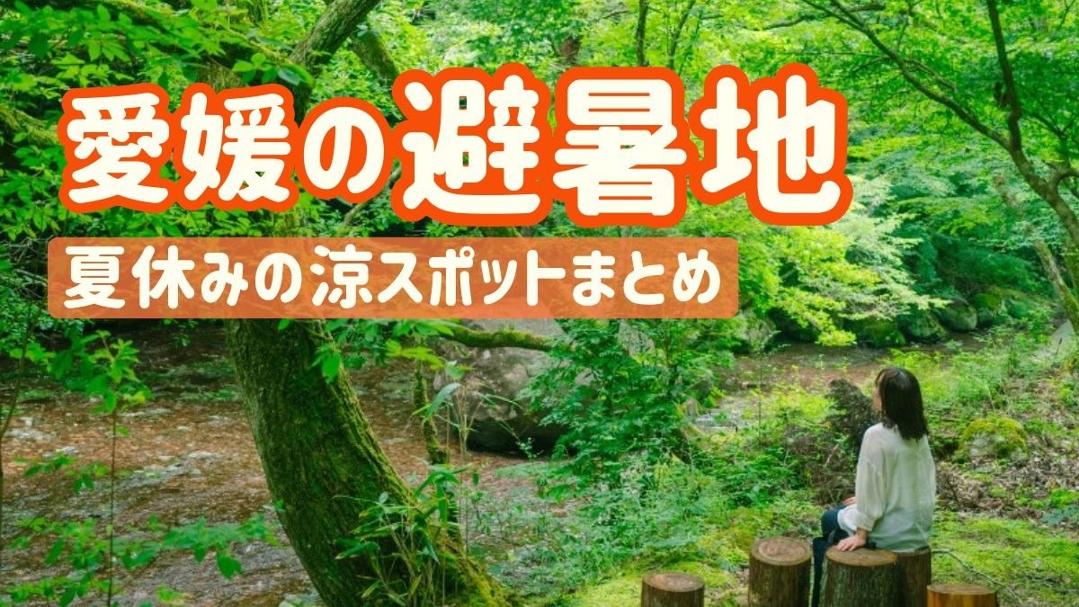 記事画像