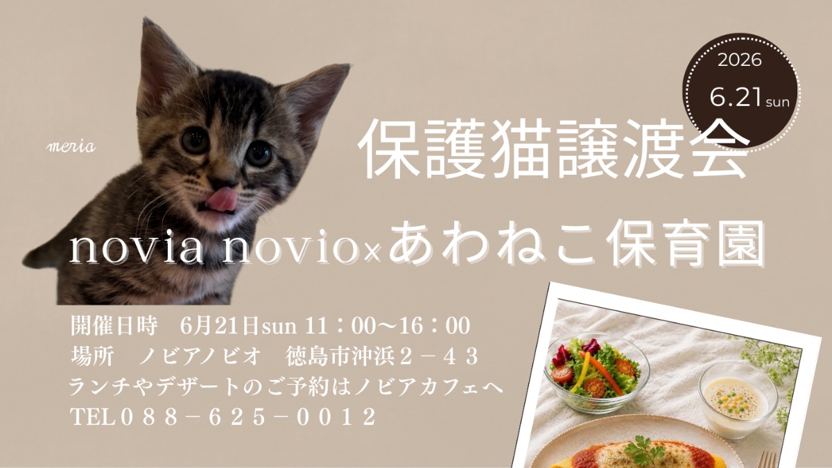 【徳島イベント情報2026】6/21｜保護猫譲渡会 novia novio×あわねこ保育園