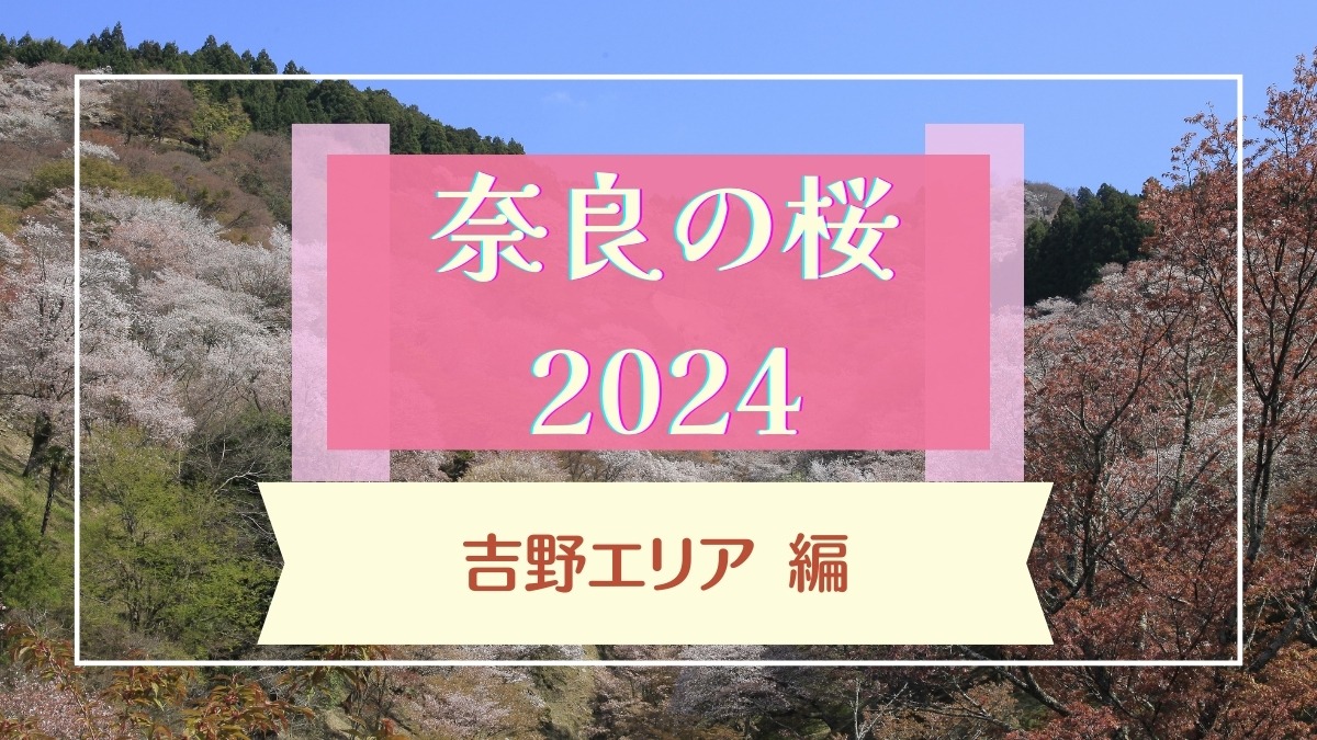 【2024】奈良県に桜の季節到来　「吉野山」「高見の郷」などスケールの大きい「おすすめ桜名所・見どころ」ガイド【吉野エリア編】