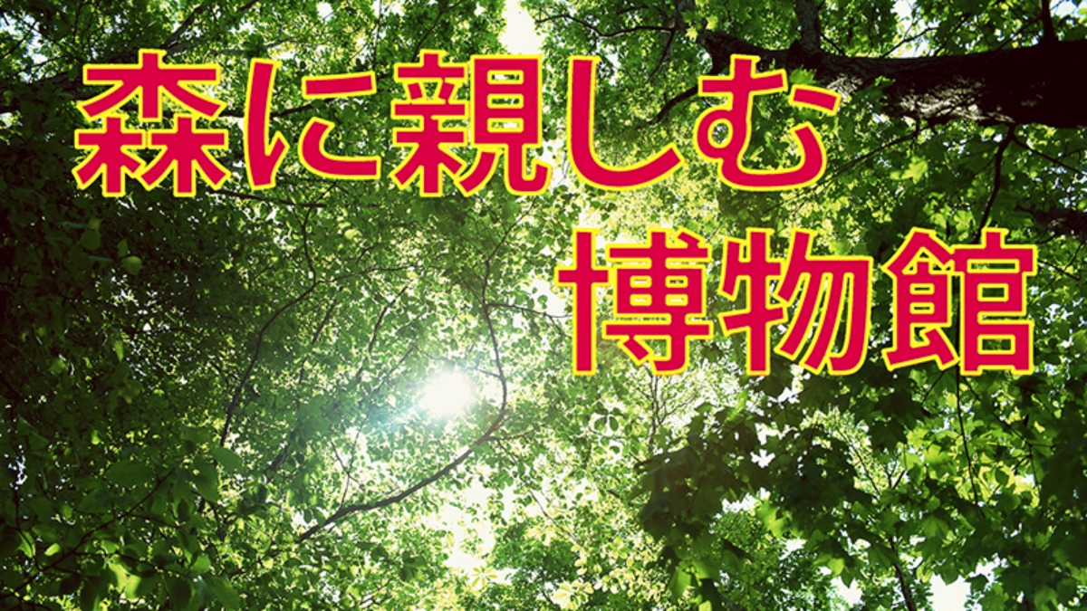 記事画像