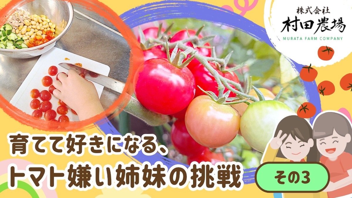 記事画像