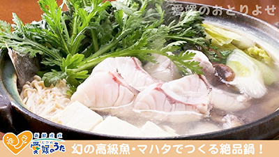 【冬の醍醐味、鍋料理にぴったり！】幻の高級魚・マハタでつくる絶品鍋