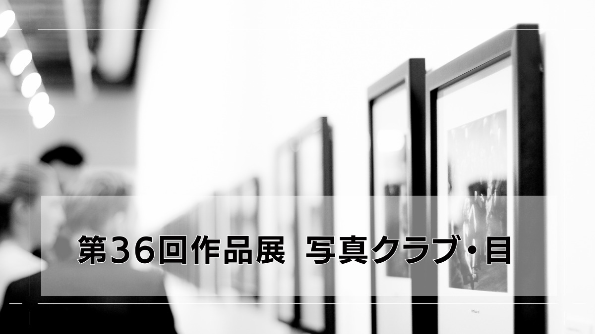 【徳島イベント情報2025】7/18～8/7｜第36回作品展 写真クラブ・目