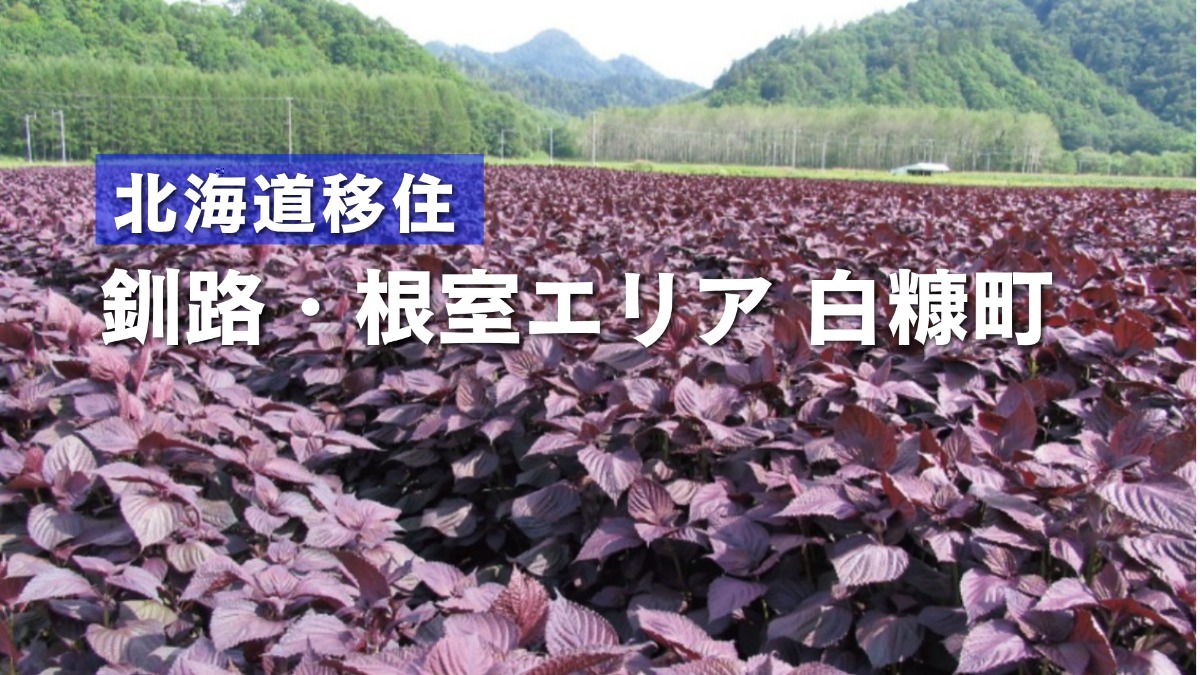 白糠町の魅力ある自然、海と山の恵み！子育て・移住の支援充実