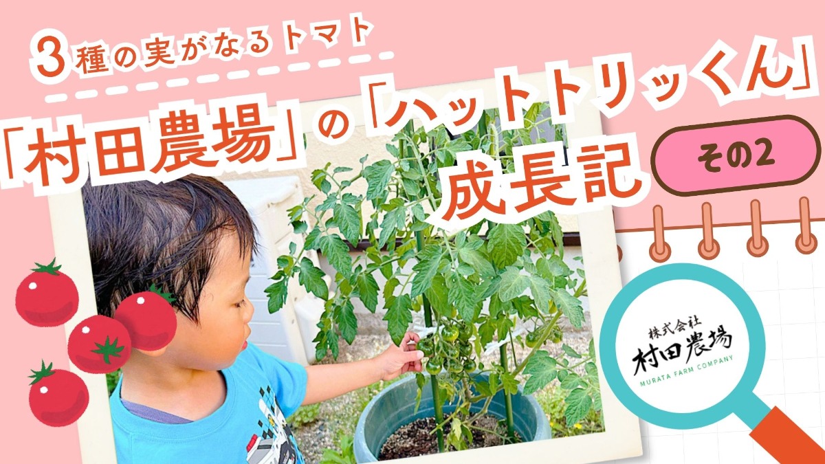記事画像