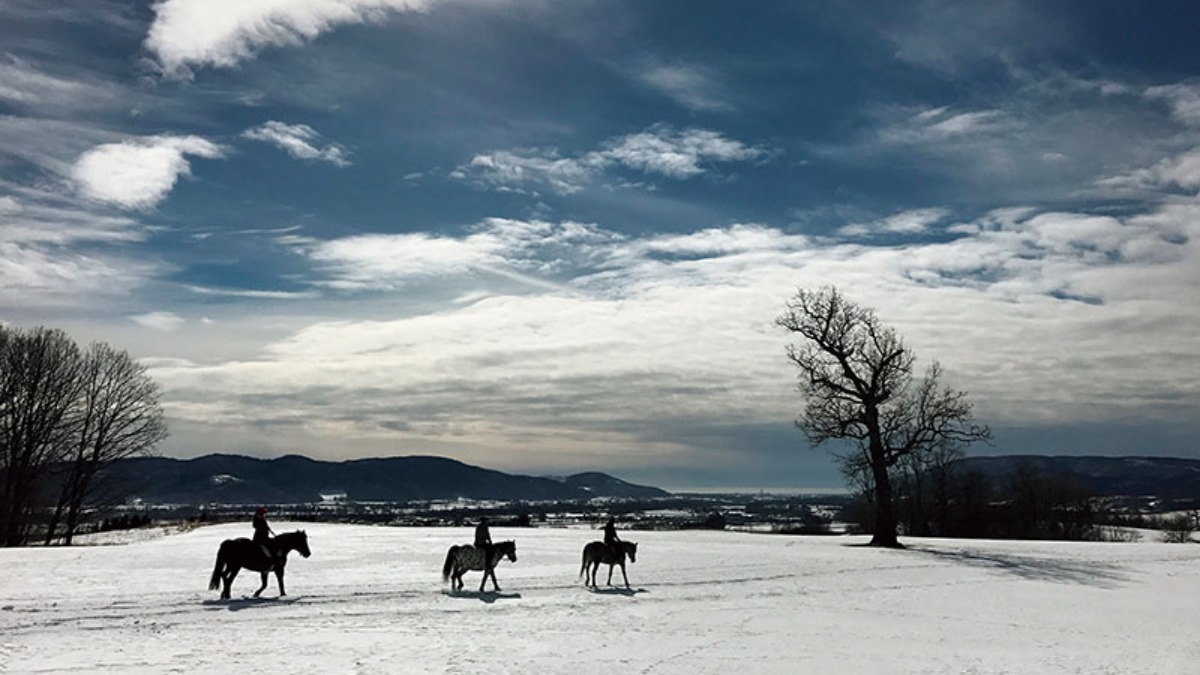 北海道 冬の遊び方｜浦河町　サラブレッドのまちで、馬と過ごす