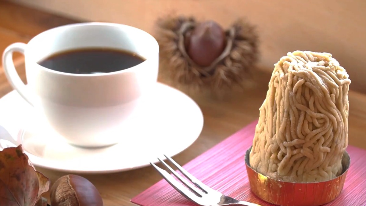 【奈良の木のこと】奈良の木を使ったカフェを動画でご紹介！