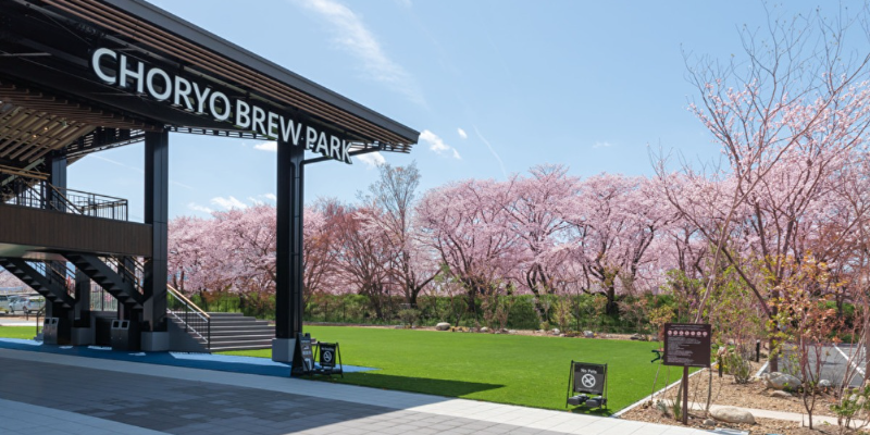 桜イベント開催！